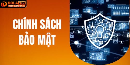 Chính Sách Bảo Mật DOLA789 Và Quy Định Về Dữ Liệu