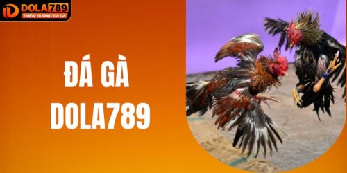 Đá Gà DOLA789 - Tựa Game Cá Cược Hot Hit Nhất Năm 2025