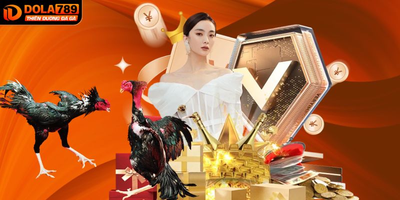 Tận dụng khuyến mãi từ DOLA789 để có thêm nguồn vốn