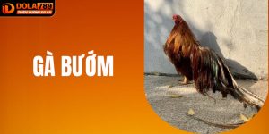 Gà Bướm DOLA789: Biểu Tượng May Mắn Trong Thế Giới Cá Cược