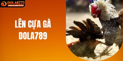 Bí Thuật Lên Cựa Gà - Phép Màu Giúp Chiến Thắng Tại DOLA789