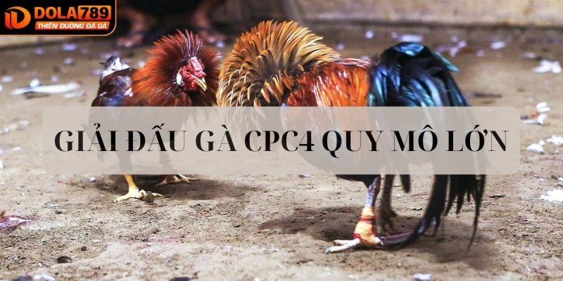  Giải đá gà CPC4 quy mô lớn