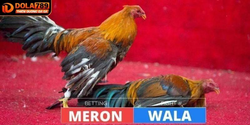  Chọn cửa Meron nếu dự đoán gà nhà cái thắng